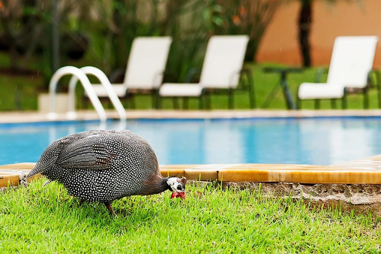 Vila Real Hotel Jaú 外观 照片